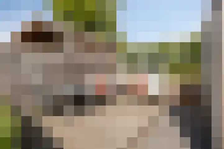 Schuurmansweg 7 Nijeveen thumbnail 28