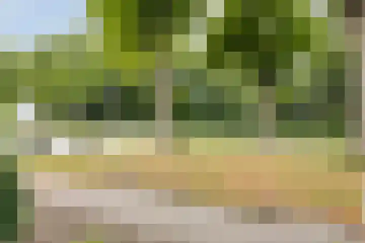 Schuurmansweg 7 Nijeveen thumbnail 34