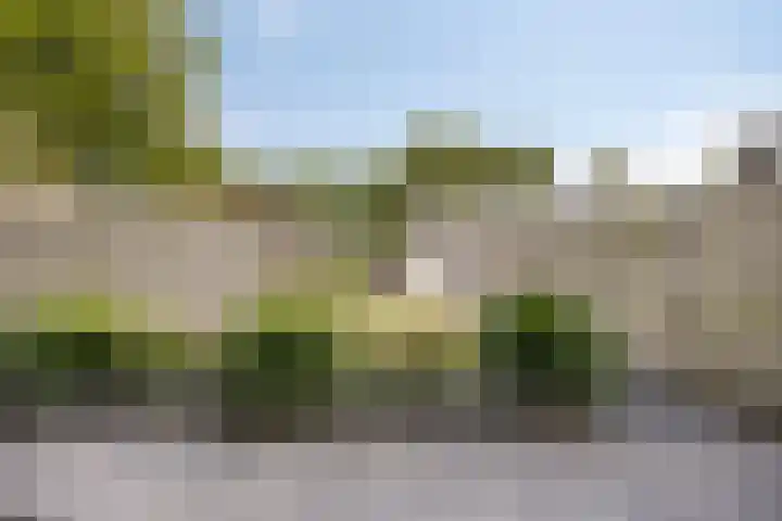Schuurmansweg 7 Nijeveen thumbnail 4