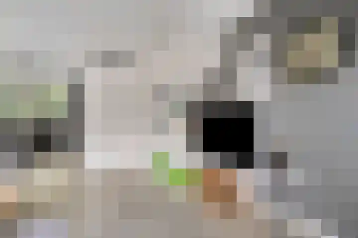 Schuurmansweg 7 Nijeveen thumbnail 6