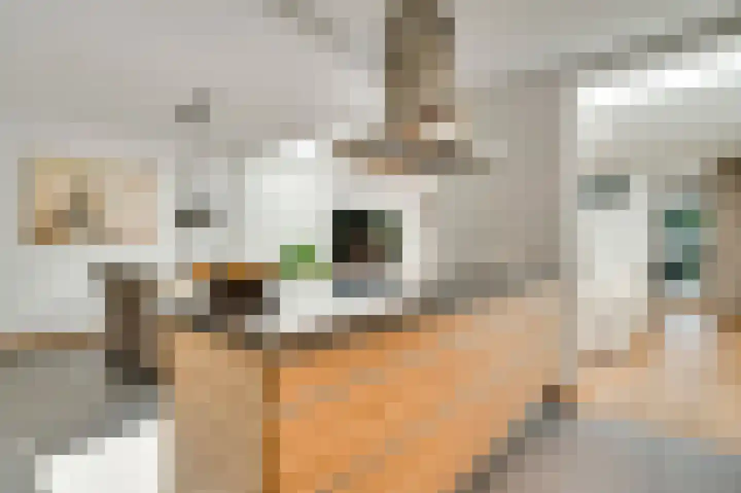 Schuurweidestraat 9 Beek thumbnail 15