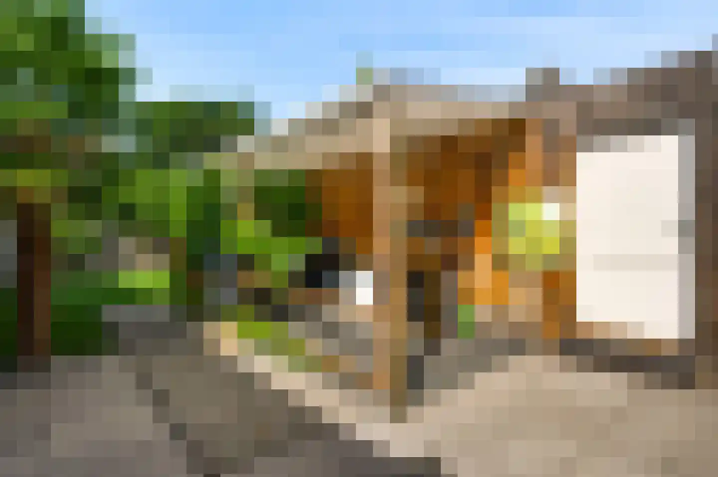 Schuurweidestraat 9 Beek thumbnail 22