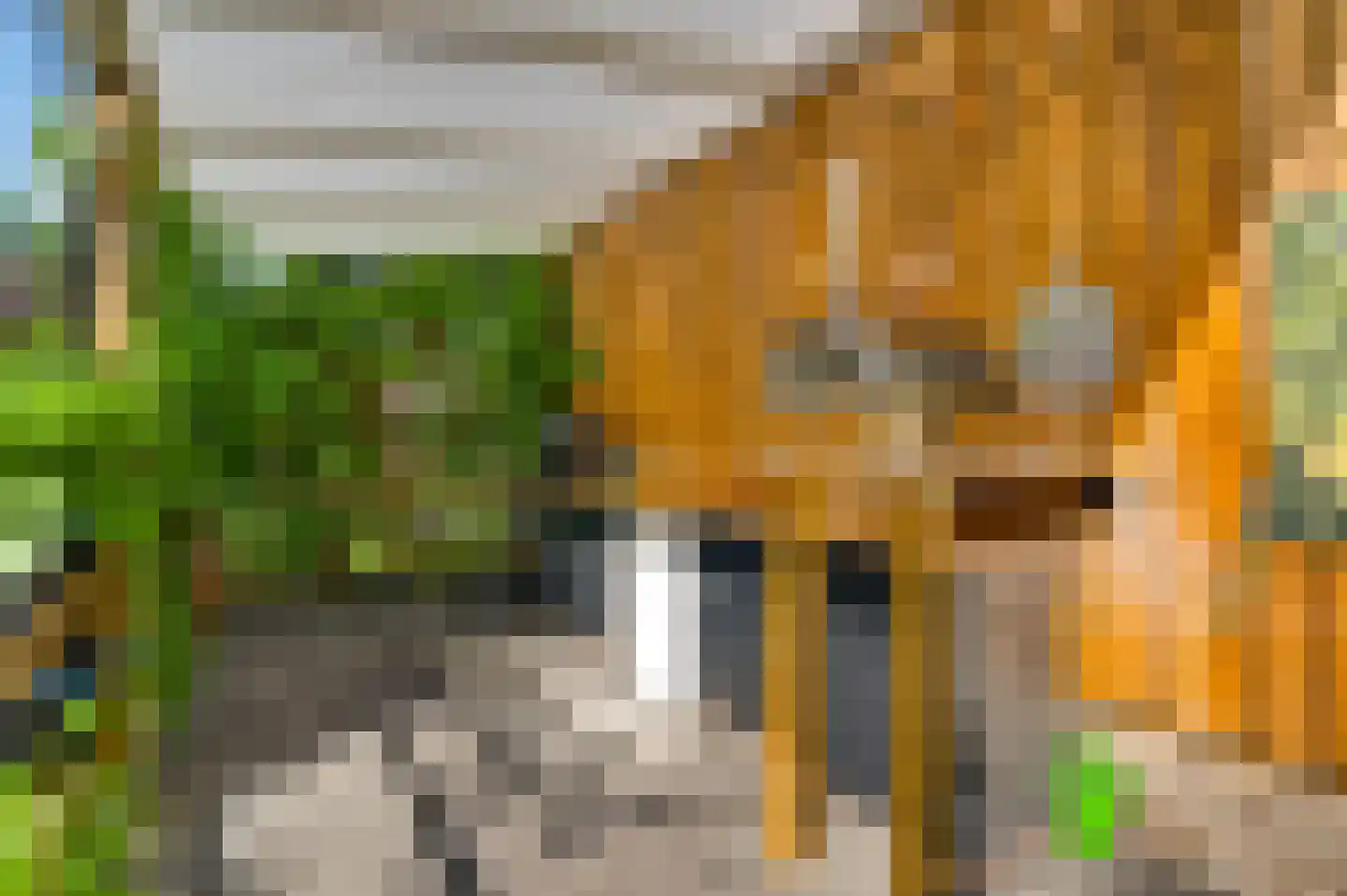 Schuurweidestraat 9 Beek thumbnail 25