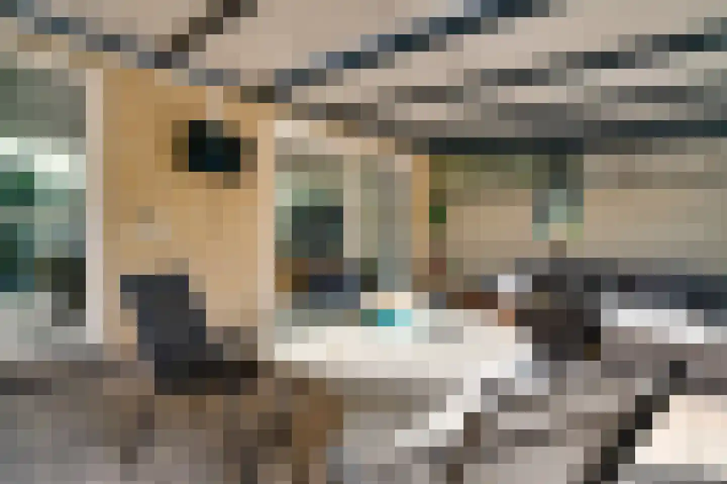Schuurweidestraat 9 Beek thumbnail 27
