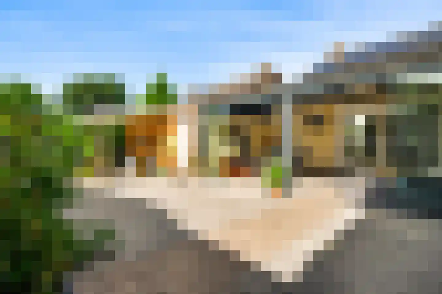 Schuurweidestraat 9 Beek thumbnail 5