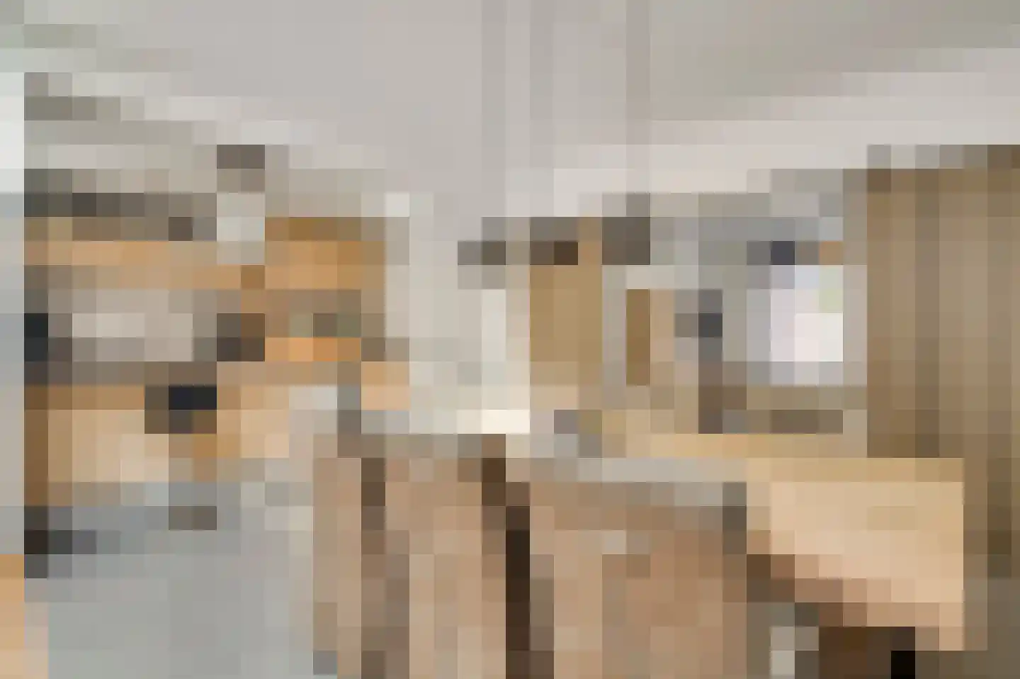 Schuurweidestraat 9 Beek thumbnail 9