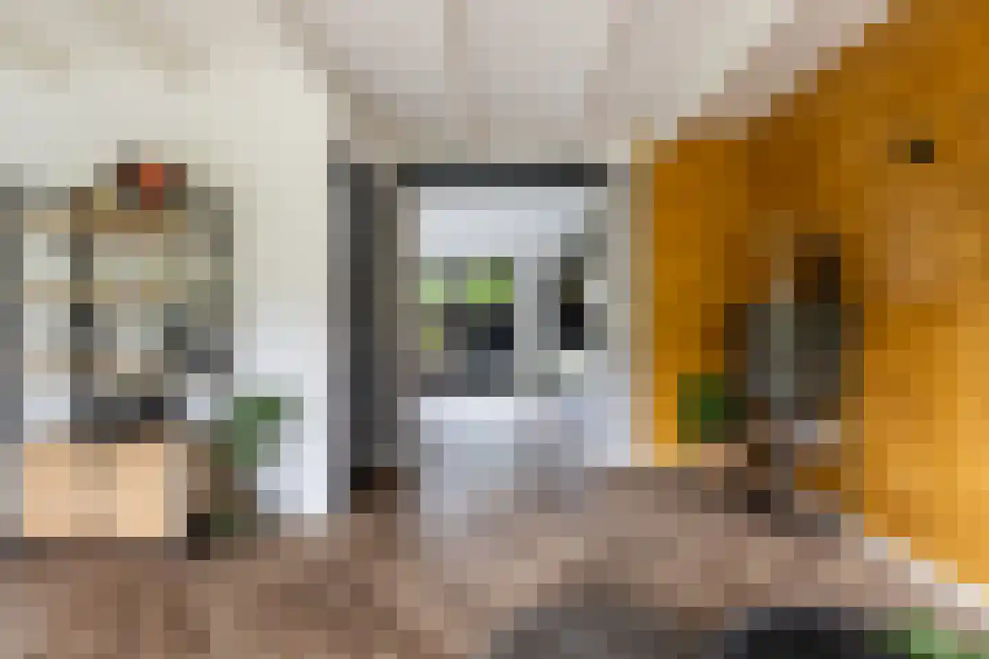 Schuwacht 12 Lekkerkerk thumbnail 10