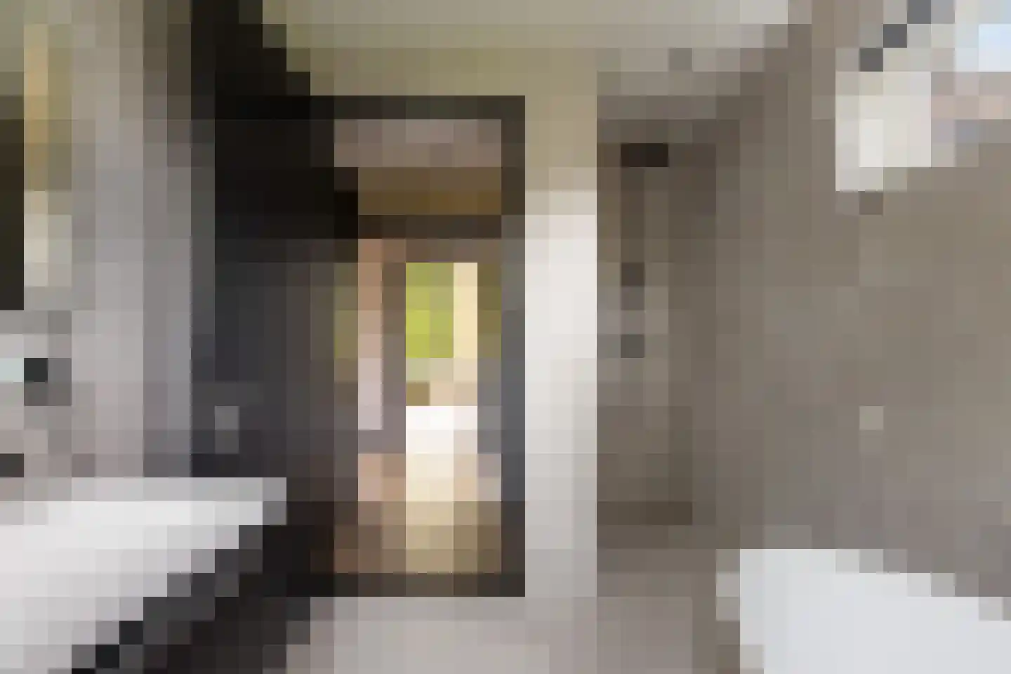 Schuwacht 12 Lekkerkerk thumbnail 30