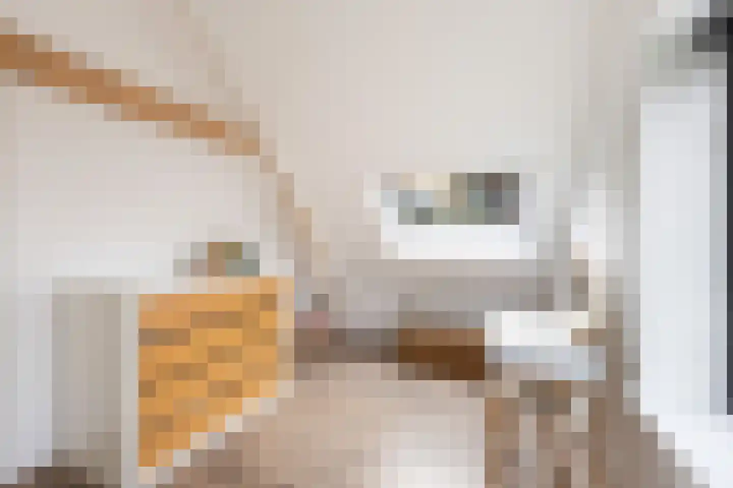 Schuwacht 12 Lekkerkerk thumbnail 32