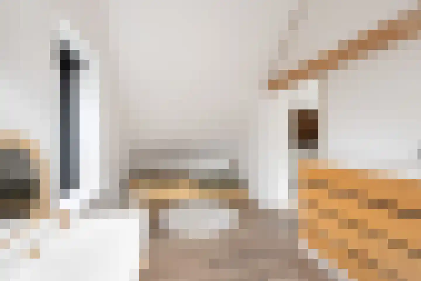 Schuwacht 12 Lekkerkerk thumbnail 33