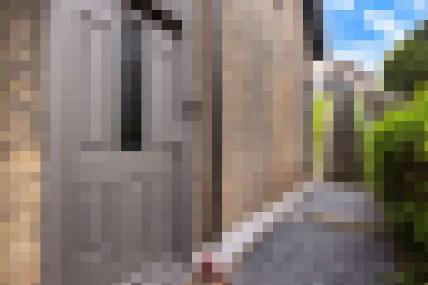 Schuwacht 12 Lekkerkerk thumbnail 40