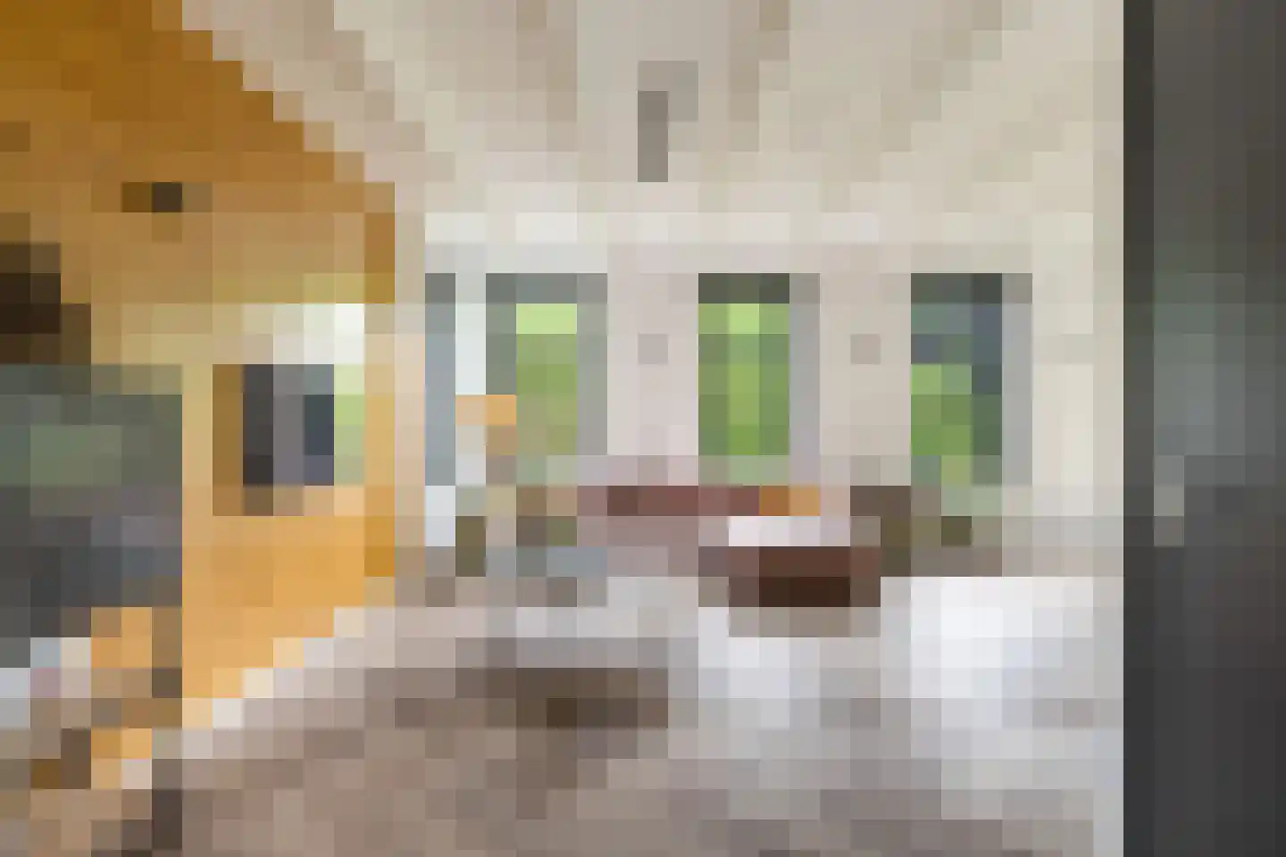 Schuwacht 12 Lekkerkerk thumbnail 9