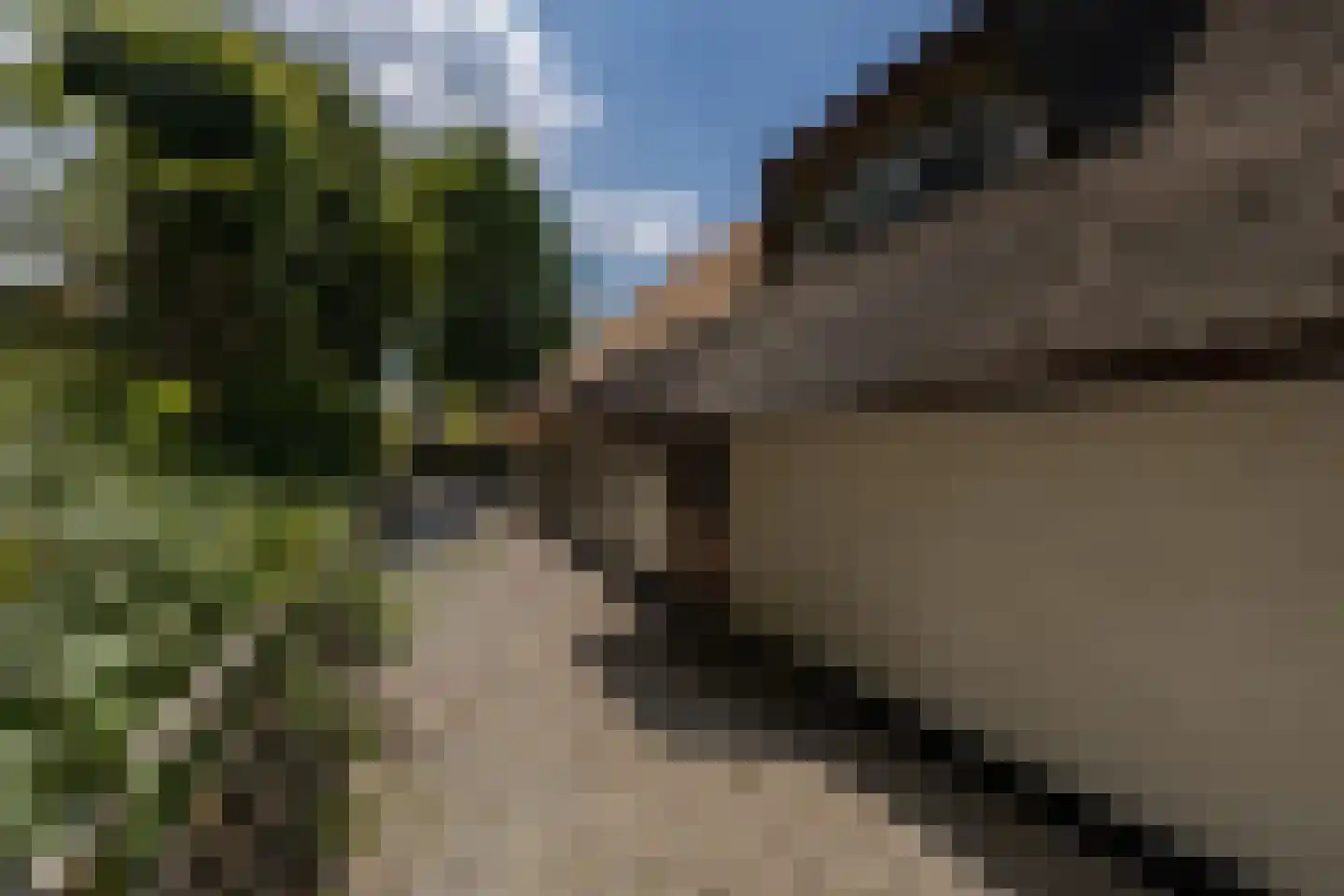Schuwacht 156 a Lekkerkerk thumbnail 11