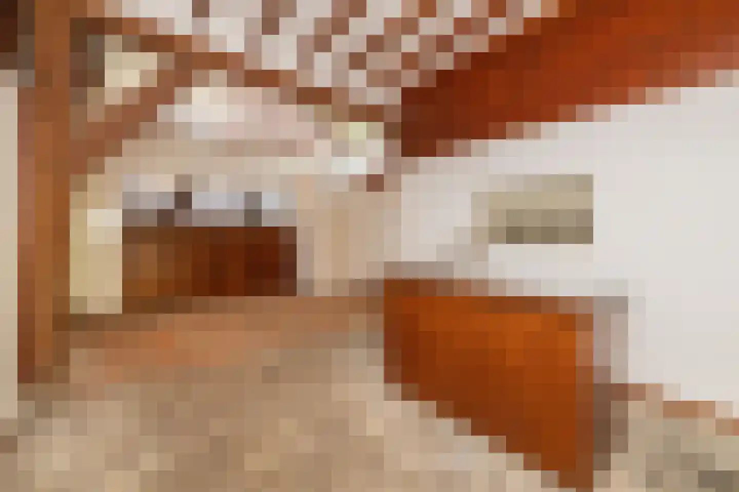 Schuwacht 156 a Lekkerkerk thumbnail 14