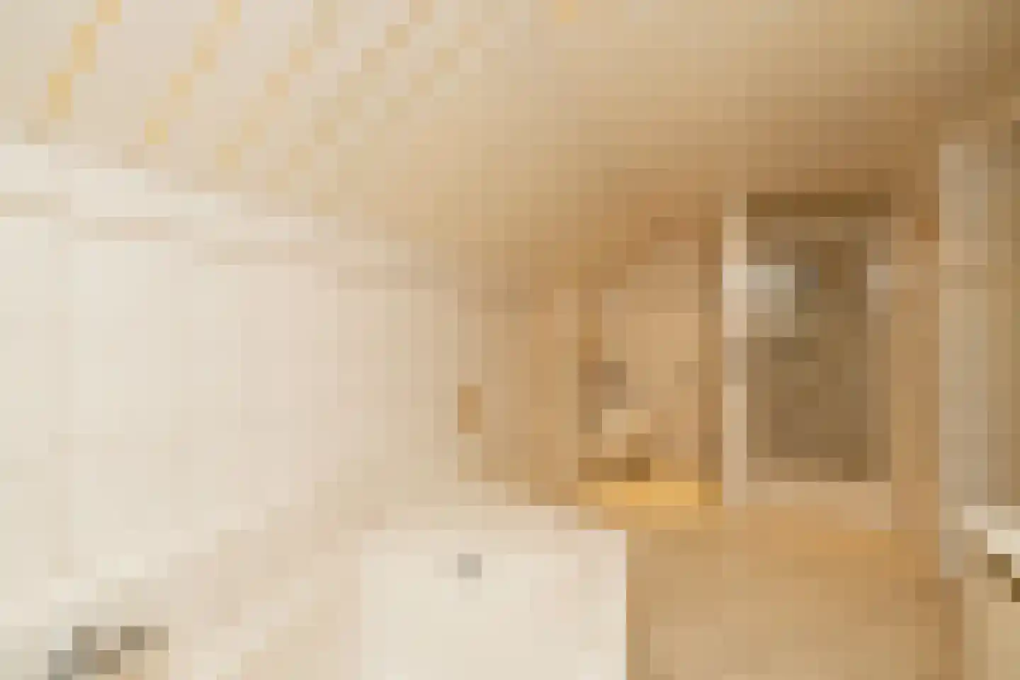 Schuwacht 156 a Lekkerkerk thumbnail 41