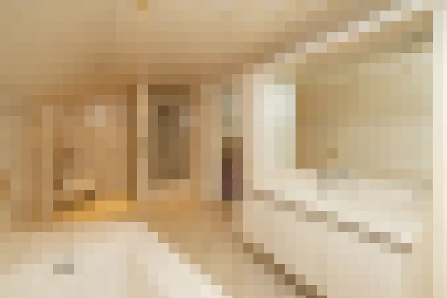 Schuwacht 156 a Lekkerkerk thumbnail 42