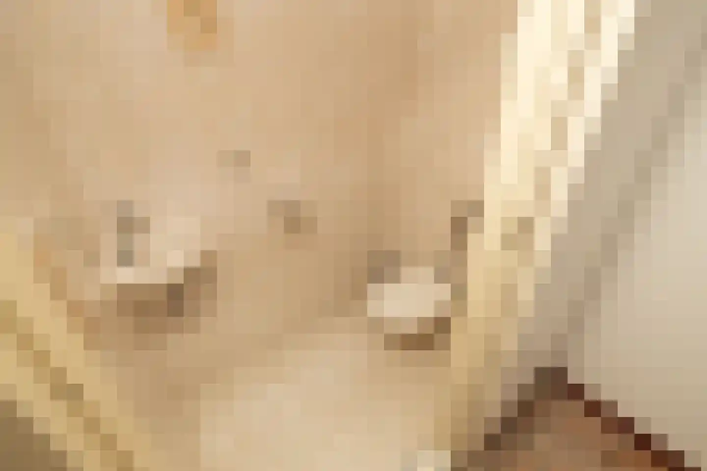 Schuwacht 156 a Lekkerkerk thumbnail 44