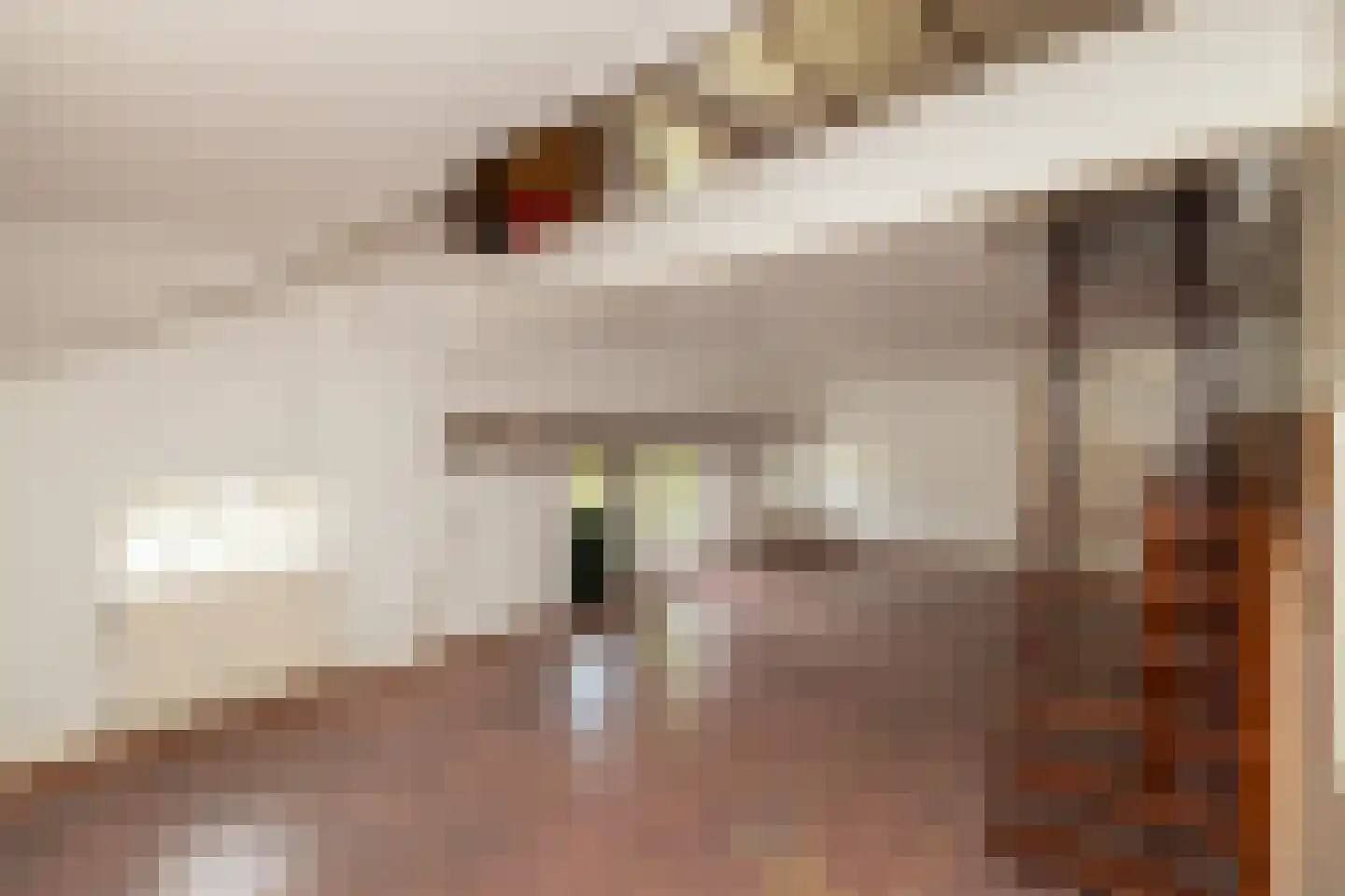 Schuwacht 156 a Lekkerkerk thumbnail 48