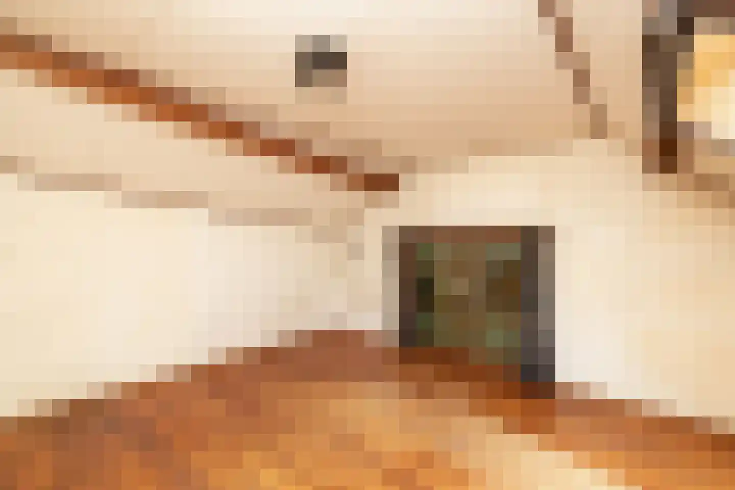 Schuwacht 156 a Lekkerkerk thumbnail 55