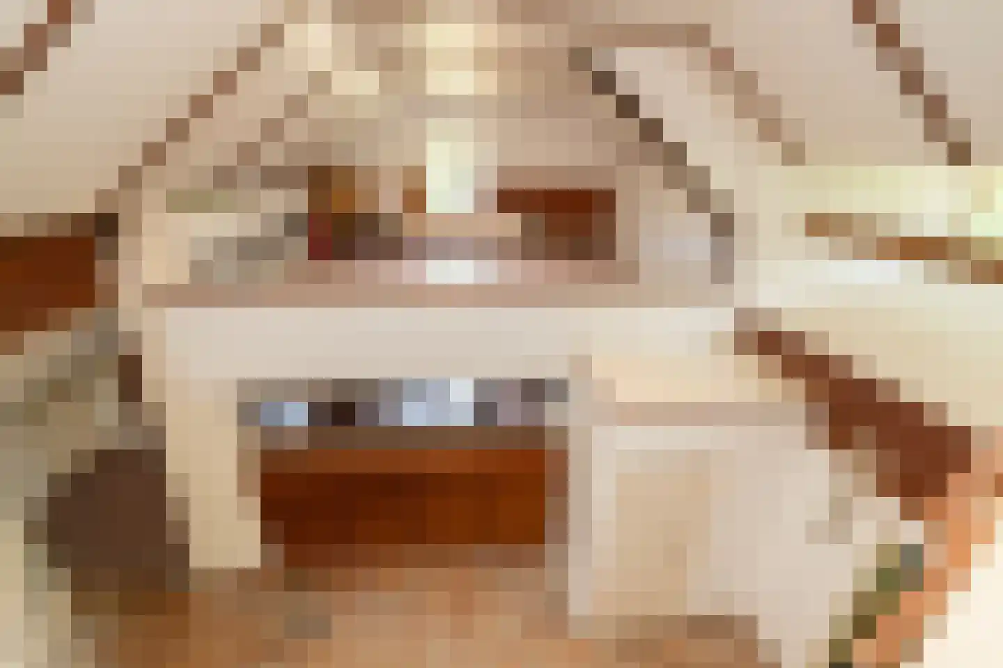 Schuwacht 156 a Lekkerkerk thumbnail 56