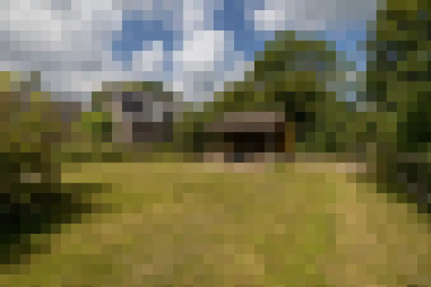 Schuwacht 156 a Lekkerkerk thumbnail 61