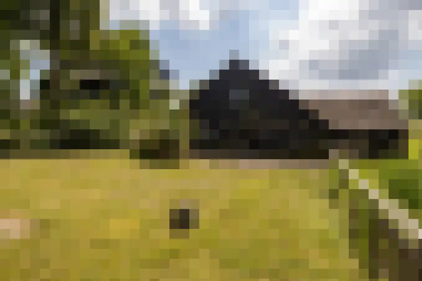 Schuwacht 156 a Lekkerkerk thumbnail 63