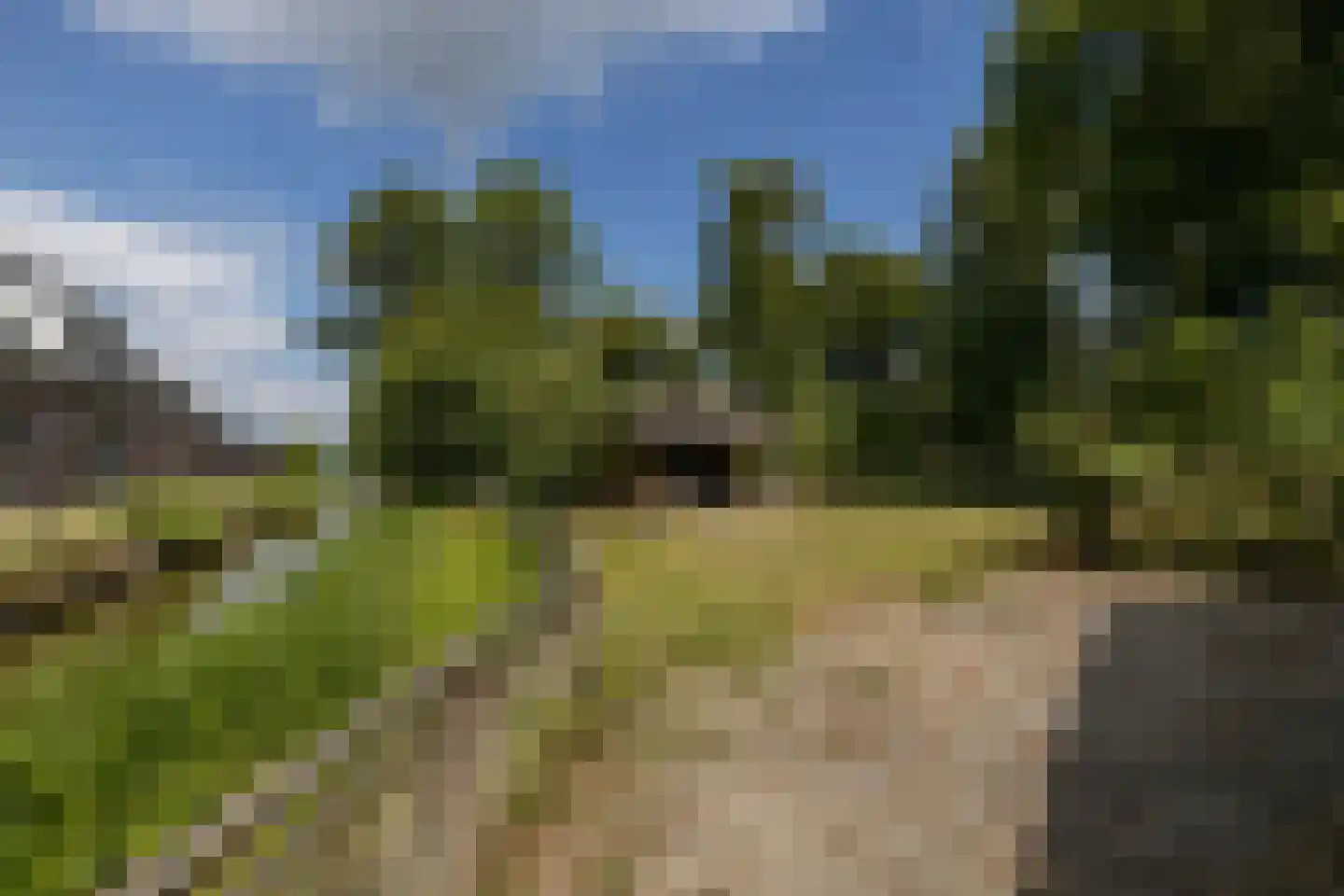 Schuwacht 156 a Lekkerkerk thumbnail 64