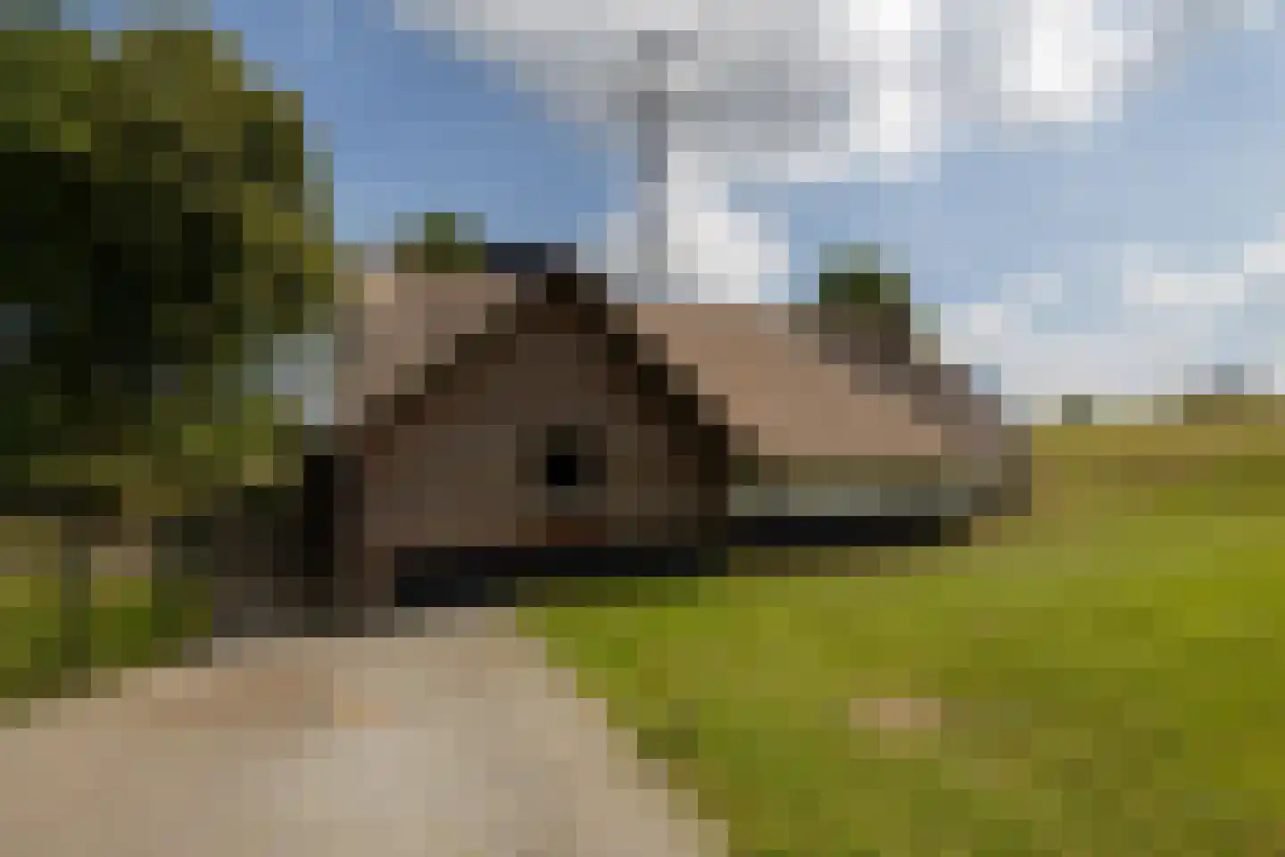 Schuwacht 156 a Lekkerkerk thumbnail 65