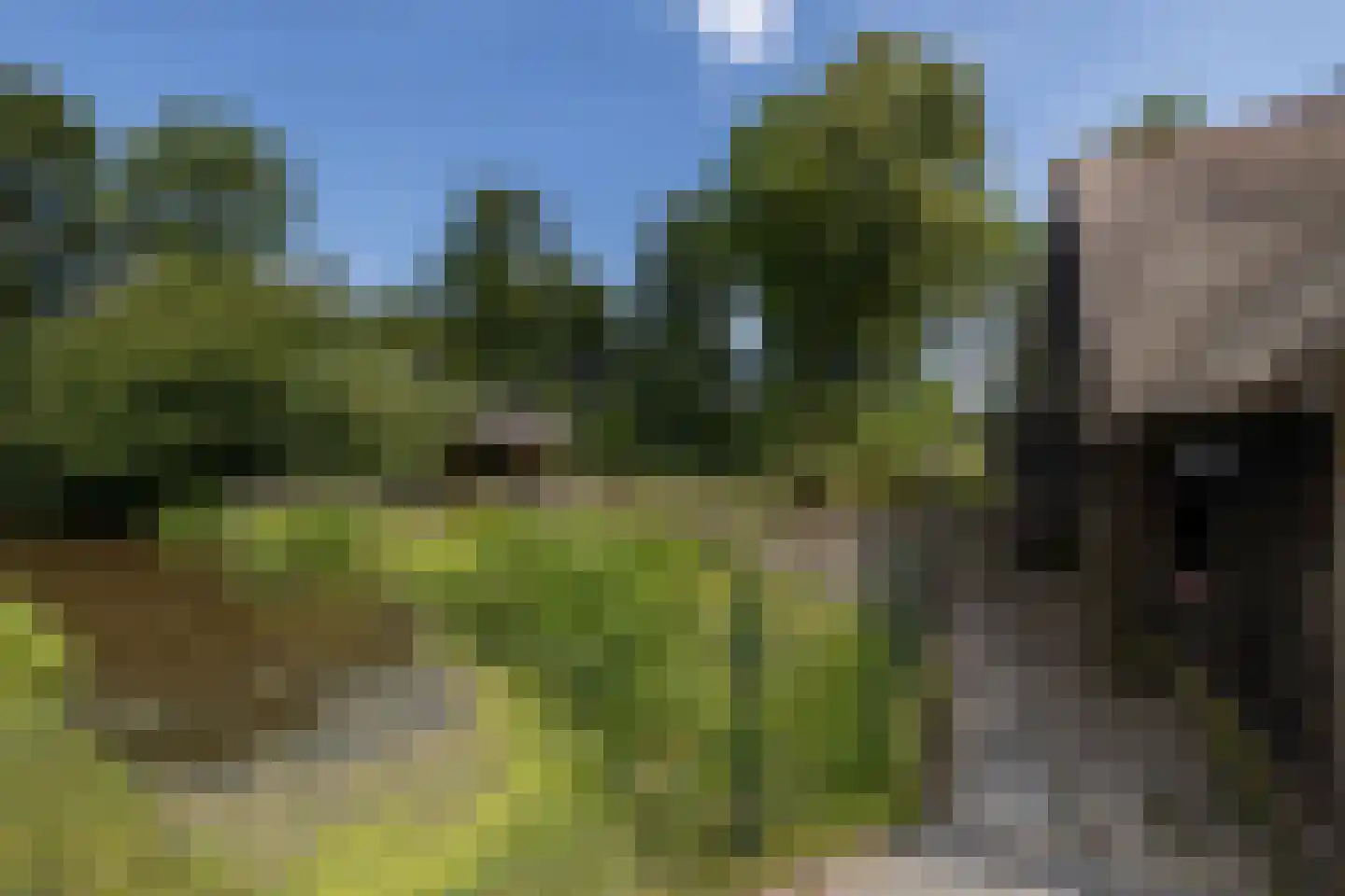 Schuwacht 156 a Lekkerkerk thumbnail 66