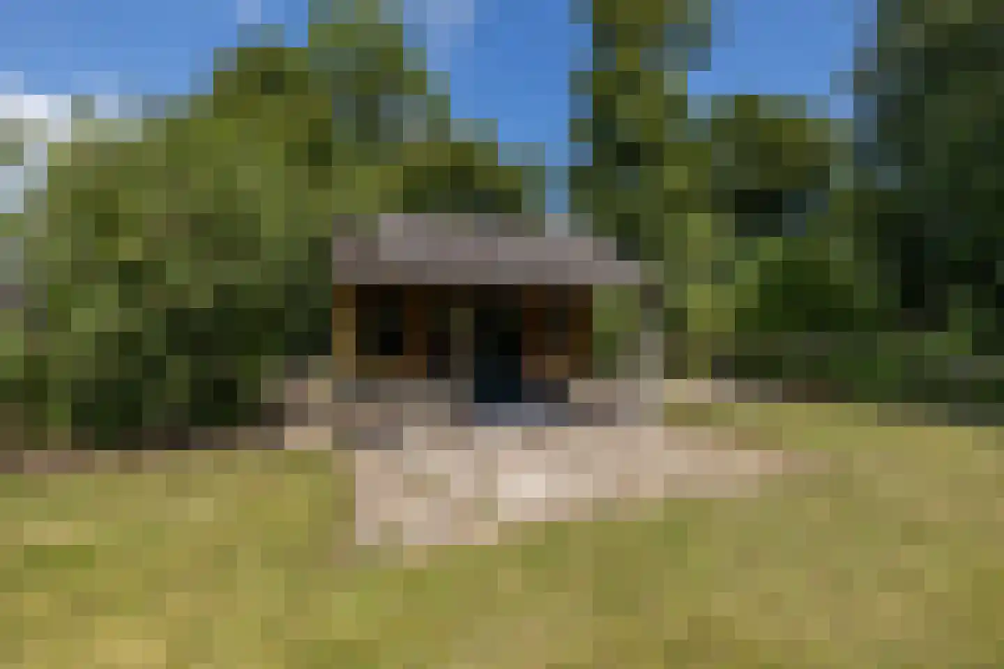 Schuwacht 156 a Lekkerkerk thumbnail 67