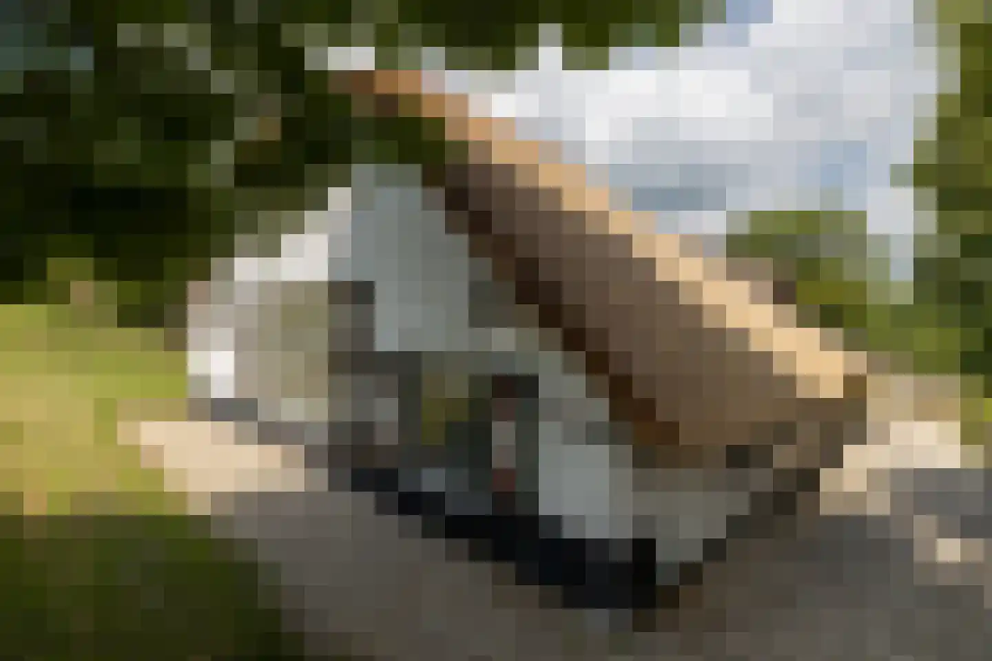 Schuwacht 156 a Lekkerkerk thumbnail 9