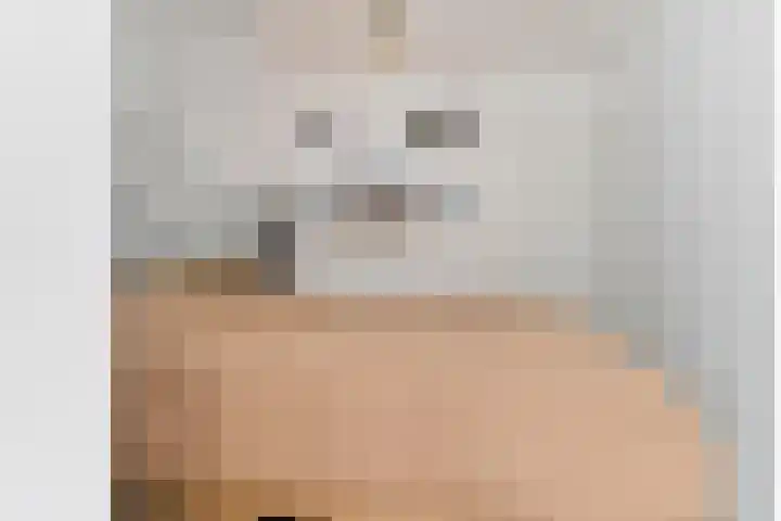Schuwacht 216 f Lekkerkerk thumbnail 12