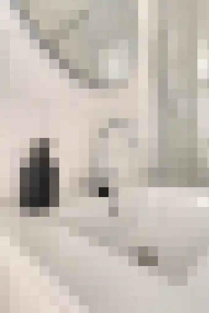 Schuwacht 216 f Lekkerkerk thumbnail 16