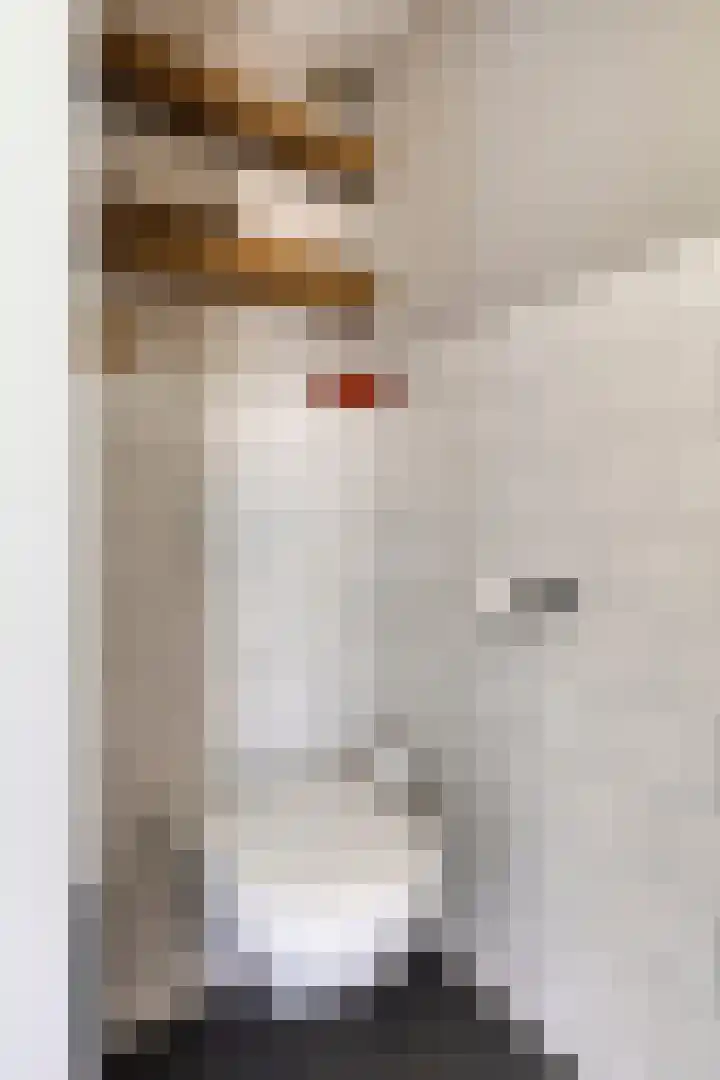 Schuwacht 216 f Lekkerkerk thumbnail 17