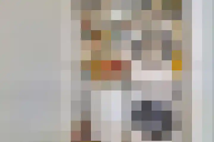 Schuwacht 216 f Lekkerkerk thumbnail 18