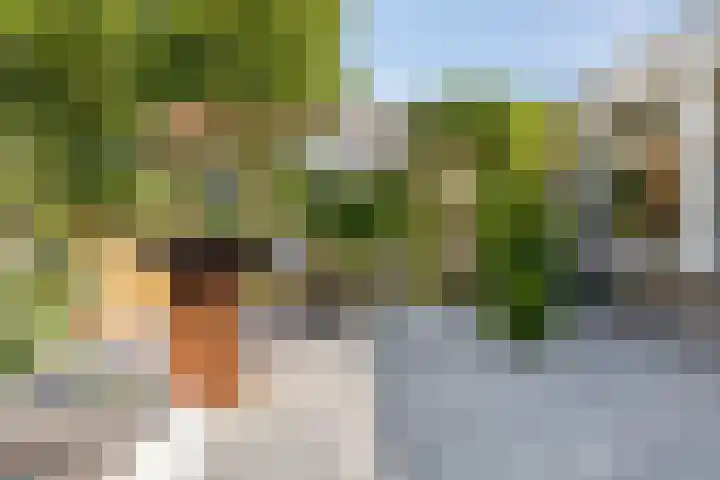 Schuwacht 216 f Lekkerkerk foto 2