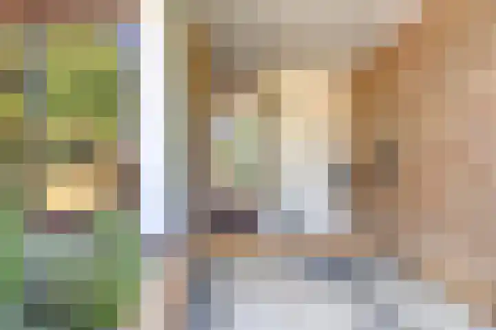 Schuwacht 216 f Lekkerkerk thumbnail 20