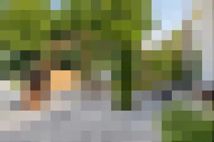 Schuwacht 216 f Lekkerkerk thumbnail 21