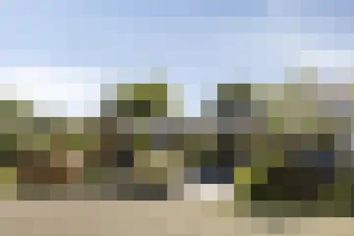 Schuwacht 216 f Lekkerkerk thumbnail 22
