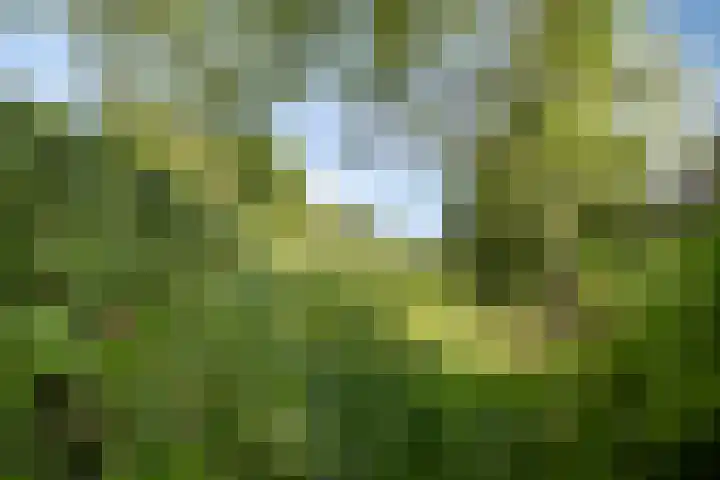 Schuwacht 216 f Lekkerkerk thumbnail 25