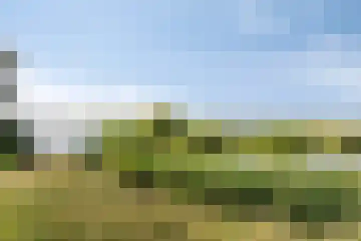 Schuwacht 216 f Lekkerkerk thumbnail 26
