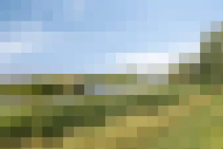 Schuwacht 216 f Lekkerkerk thumbnail 27