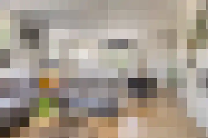 Schuwacht 216 f Lekkerkerk foto 3