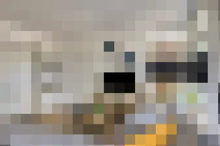 Schuwacht 216 f Lekkerkerk thumbnail 5
