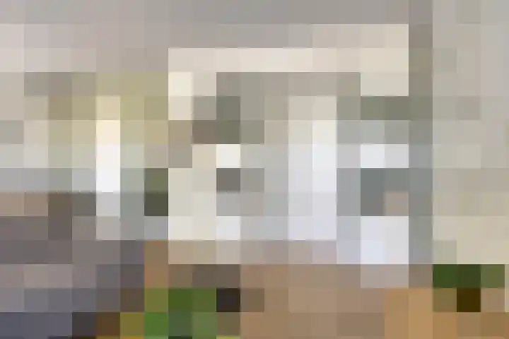 Schuwacht 216 f Lekkerkerk thumbnail 6