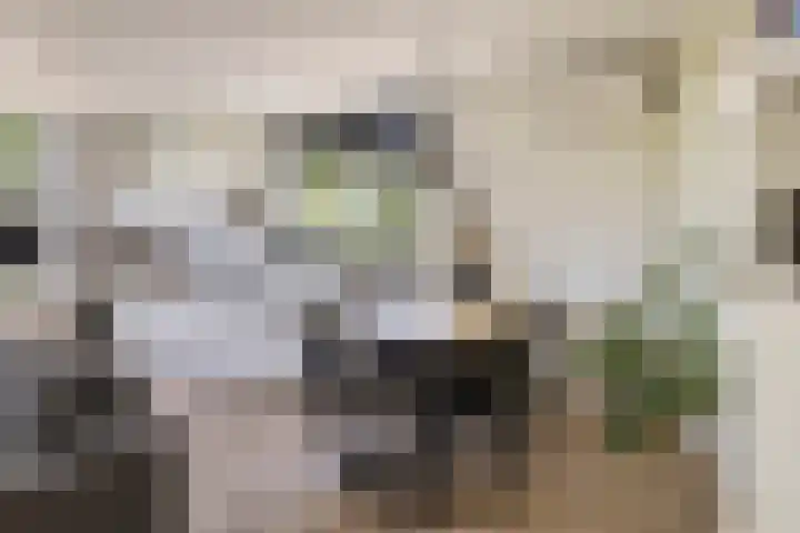 Schuwacht 216 f Lekkerkerk thumbnail 7