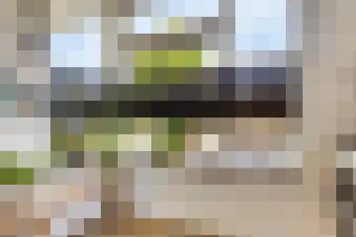 Schuwacht 216 f Lekkerkerk thumbnail 9