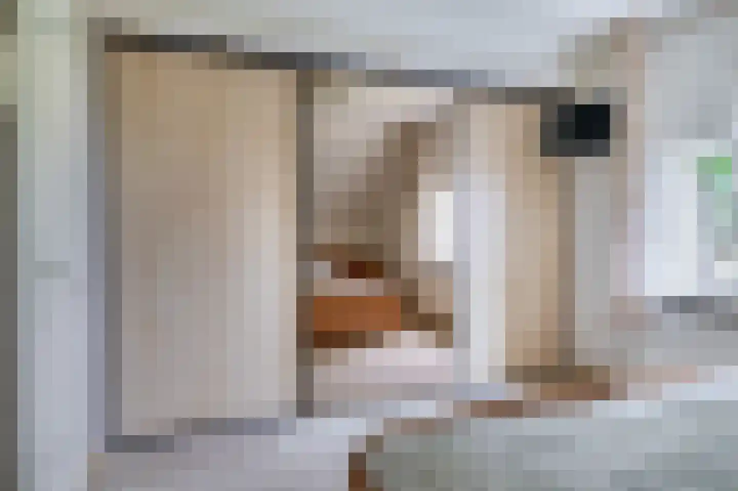 Schuwacht 68 Lekkerkerk thumbnail 26