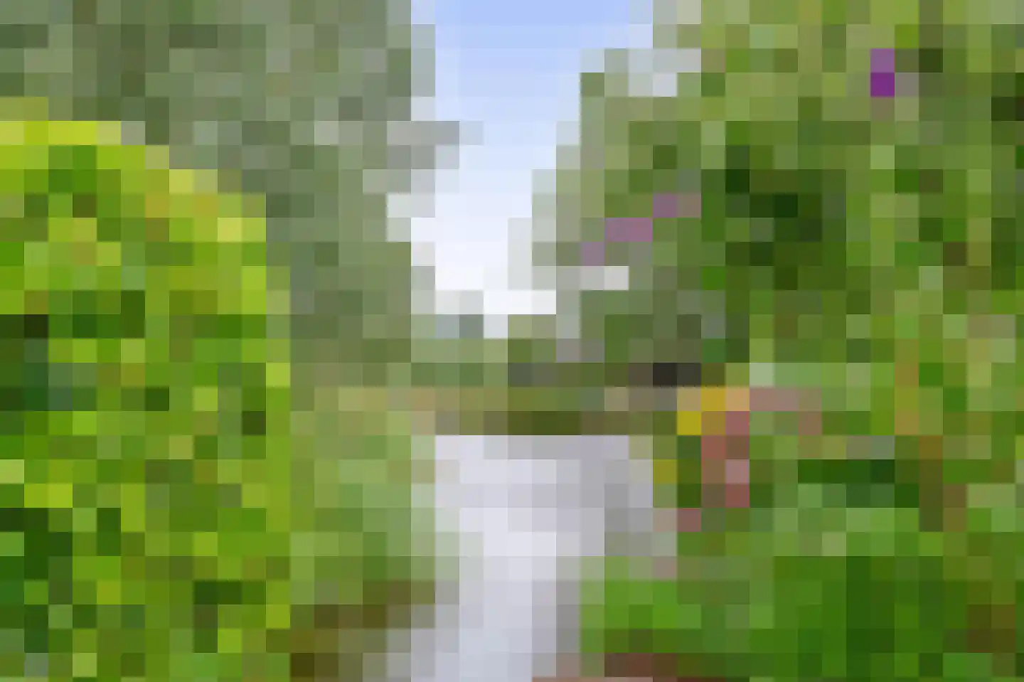 Schuwacht 68 Lekkerkerk thumbnail 36
