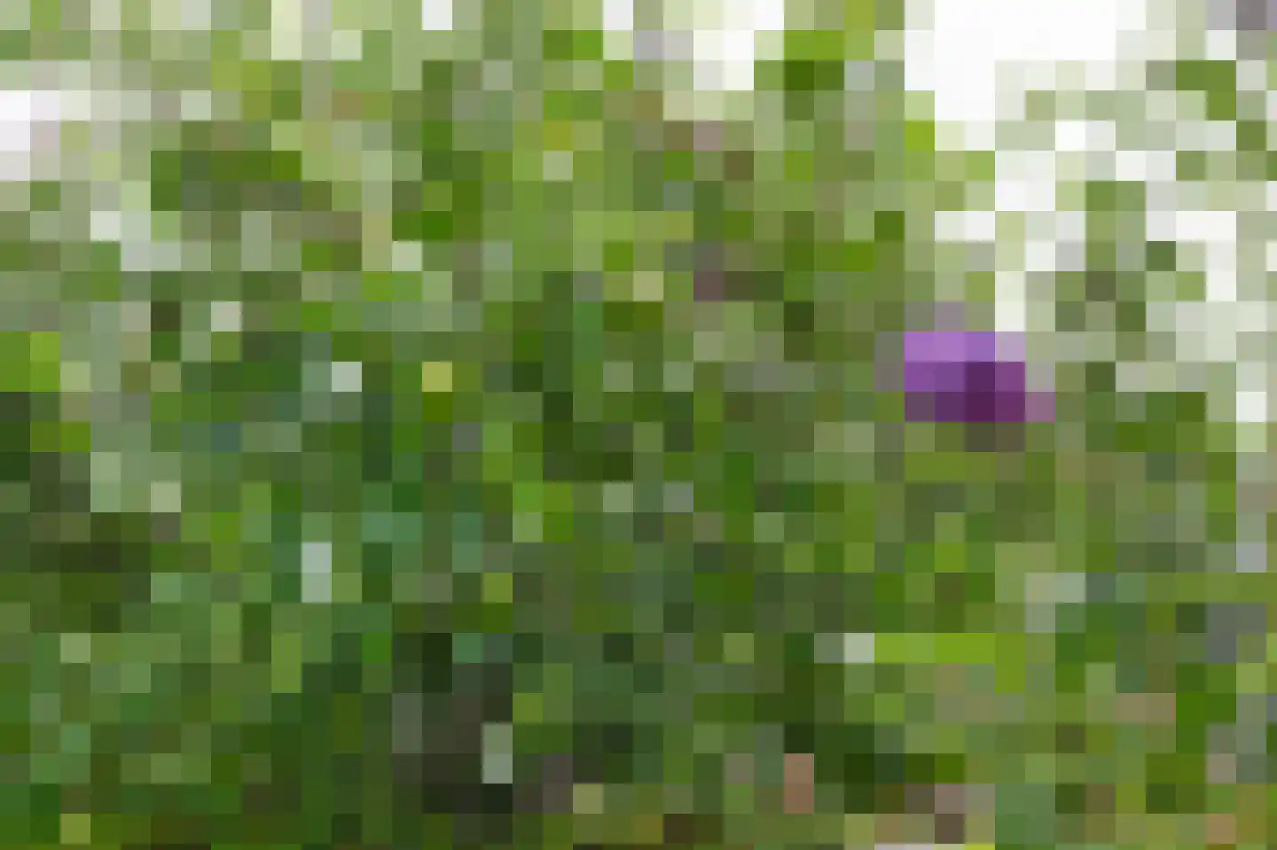 Schuwacht 68 Lekkerkerk thumbnail 37